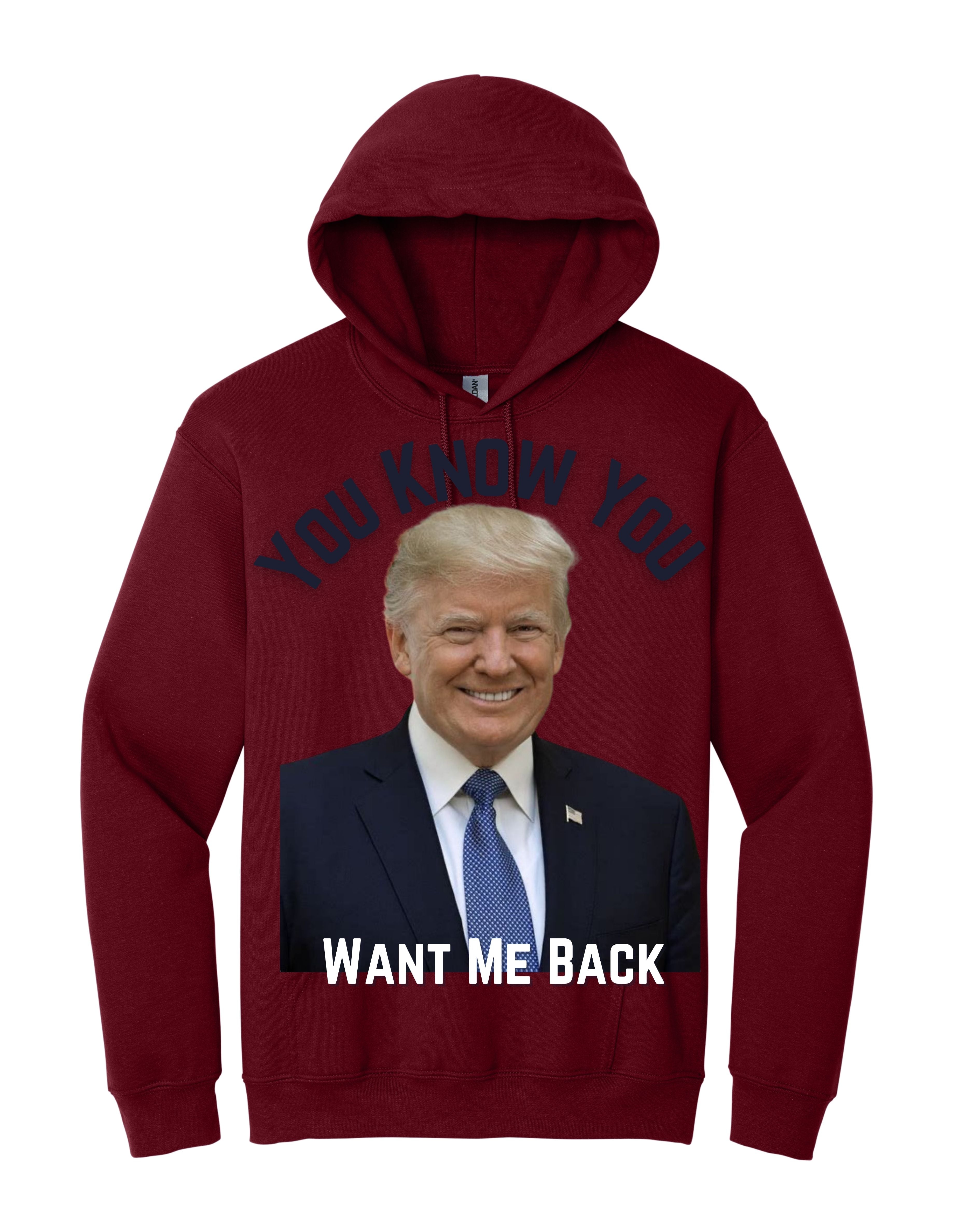 You Know You Want Me Back (Male Hoodie)